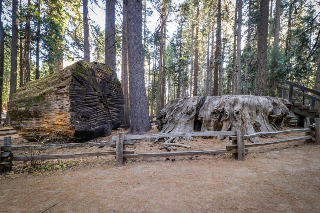 Вілла Hikers Haven Арнольд Екстер'єр фото