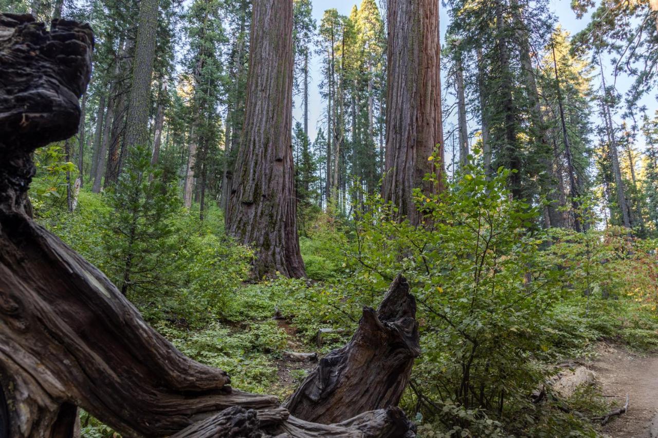 Вілла Hikers Haven Арнольд Екстер'єр фото