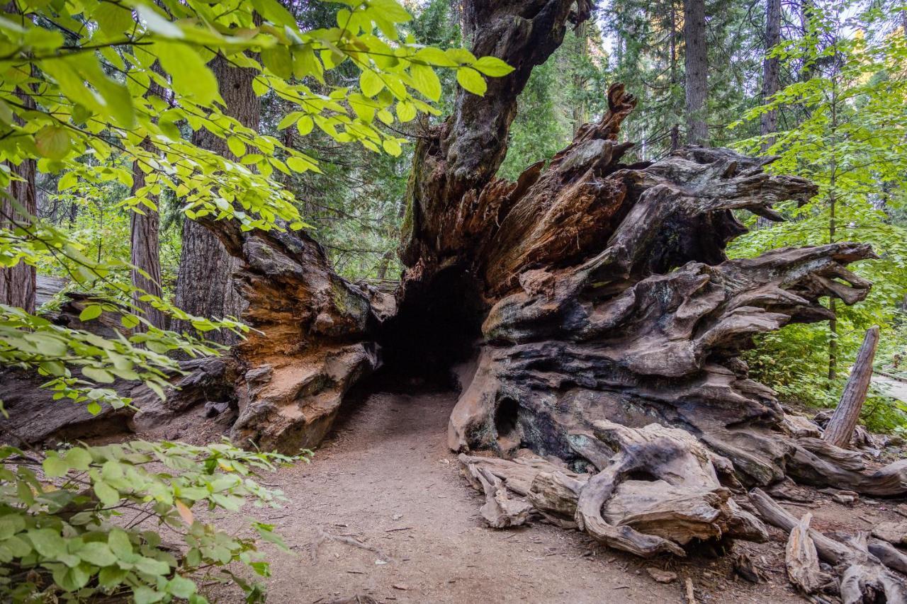 Вілла Hikers Haven Арнольд Екстер'єр фото
